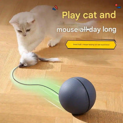 Moving Battery-Operated Cat Toy