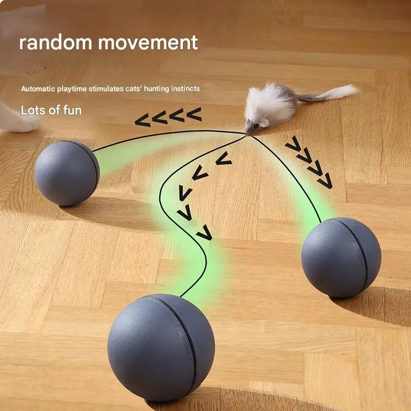Moving Battery-Operated Cat Toy