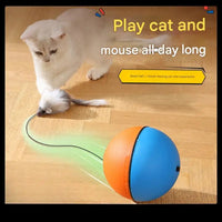 Moving Battery-Operated Cat Toy