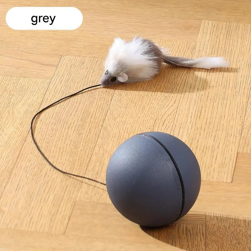 Moving Battery-Operated Cat Toy
