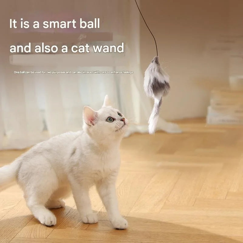 Moving Battery-Operated Cat Toy